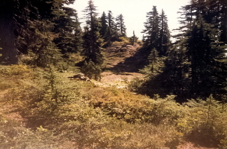 Walking along a long ridge, Howe Sound Crest Trail 1985-08.